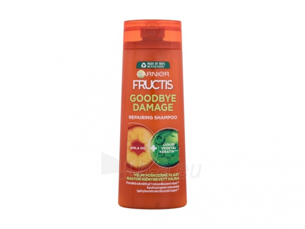 Šampūnas plaukams Garnier Fructis Goodbye Damage Shampoo Cosmetic 250ml paveikslėlis 1 iš 1
