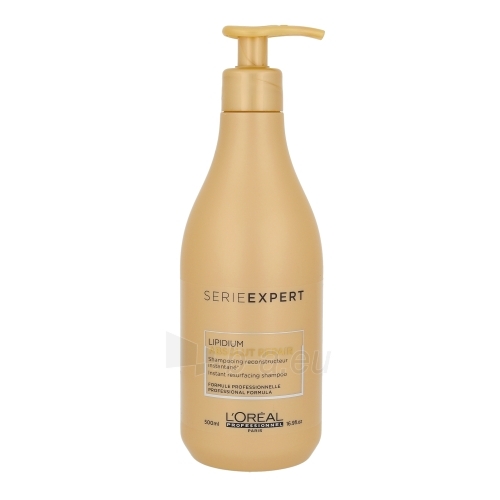 Šampūnas plaukams L´Oreal Paris Expert Absolut Repair Lipidium Shampoo Cosmetic 500ml paveikslėlis 1 iš 1