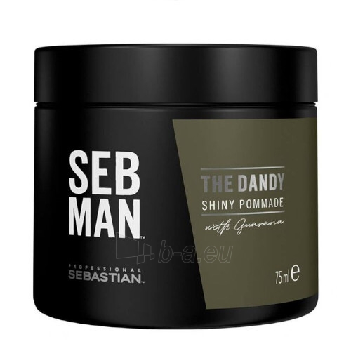 Sebastian Professional SEB MAN The Dandy (Shiny Pommade) 75 ml paveikslėlis 1 iš 1
