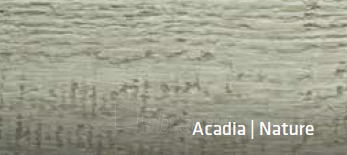 Silikonas sandarinimui CanExel Acadia paveikslėlis 2 iš 2