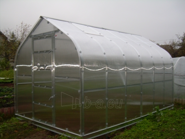 Greenhouse Standart KLASIKA 15 with substructure, 2,5x6 (15 m2) su 6 mm.polikarbonato danga paveikslėlis 5 iš 5