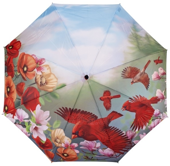 Skėtis Blooming Brollies Cardinal umbrella with folding style Paveikslėlis 1 iš 1 310820144880