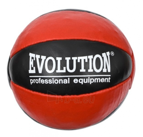 Svorinis kamuolys EVOLUTION TR-120 LEATHER 2 KG paveikslėlis 1 iš 1