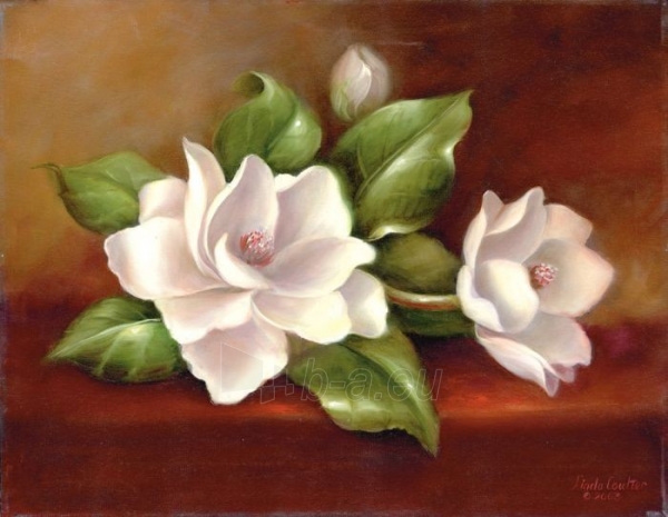 Tapymo komplektas Royal & Langnickel Paint Your Own Masterpiece Painting Set, Classic Magnolias paveikslėlis 3 iš 3