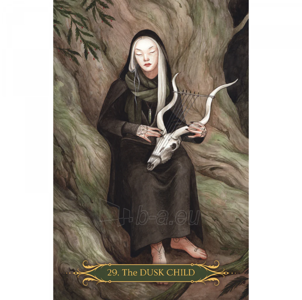 Taro kortos A Compendium Of Witches Oracle kortos Lo Scarabeo paveikslėlis 7 iš 9