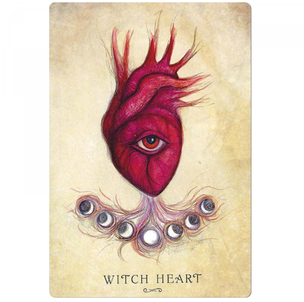 Taro kortos Anatomy Of A Witch Oracle kortos Llewellyn paveikslėlis 9 iš 10