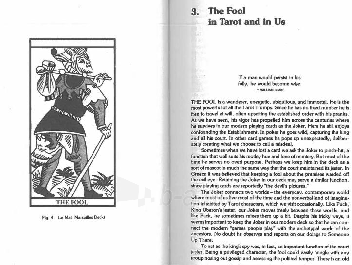 Taro kortos and the Archetypal Journey knyga Weiser Books paveikslėlis 3 iš 6
