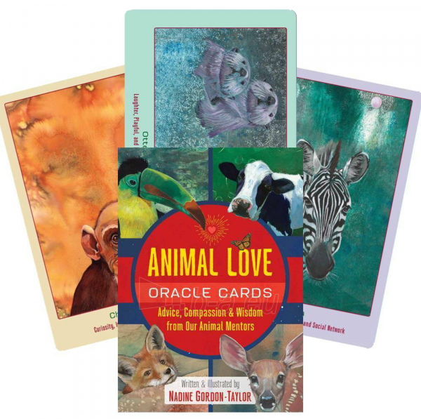 Taro kortos Animal Love Oracle kortos Bear & Company paveikslėlis 1 iš 13
