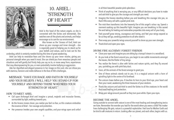 Taro kortos Archangel Fire Oracle kortos Findhorn Press paveikslėlis 8 iš 9