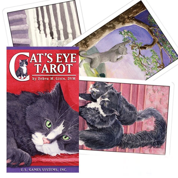 Taro kortos Cat`s Eye paveikslėlis 1 iš 6