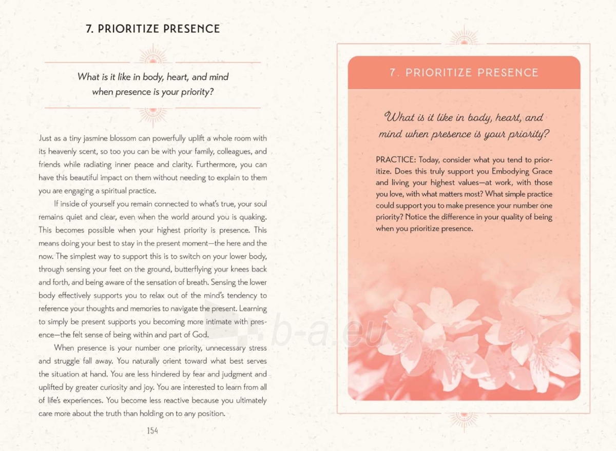 Taro kortos Cultivating Grace kortos Insight Editions paveikslėlis 17 iš 19