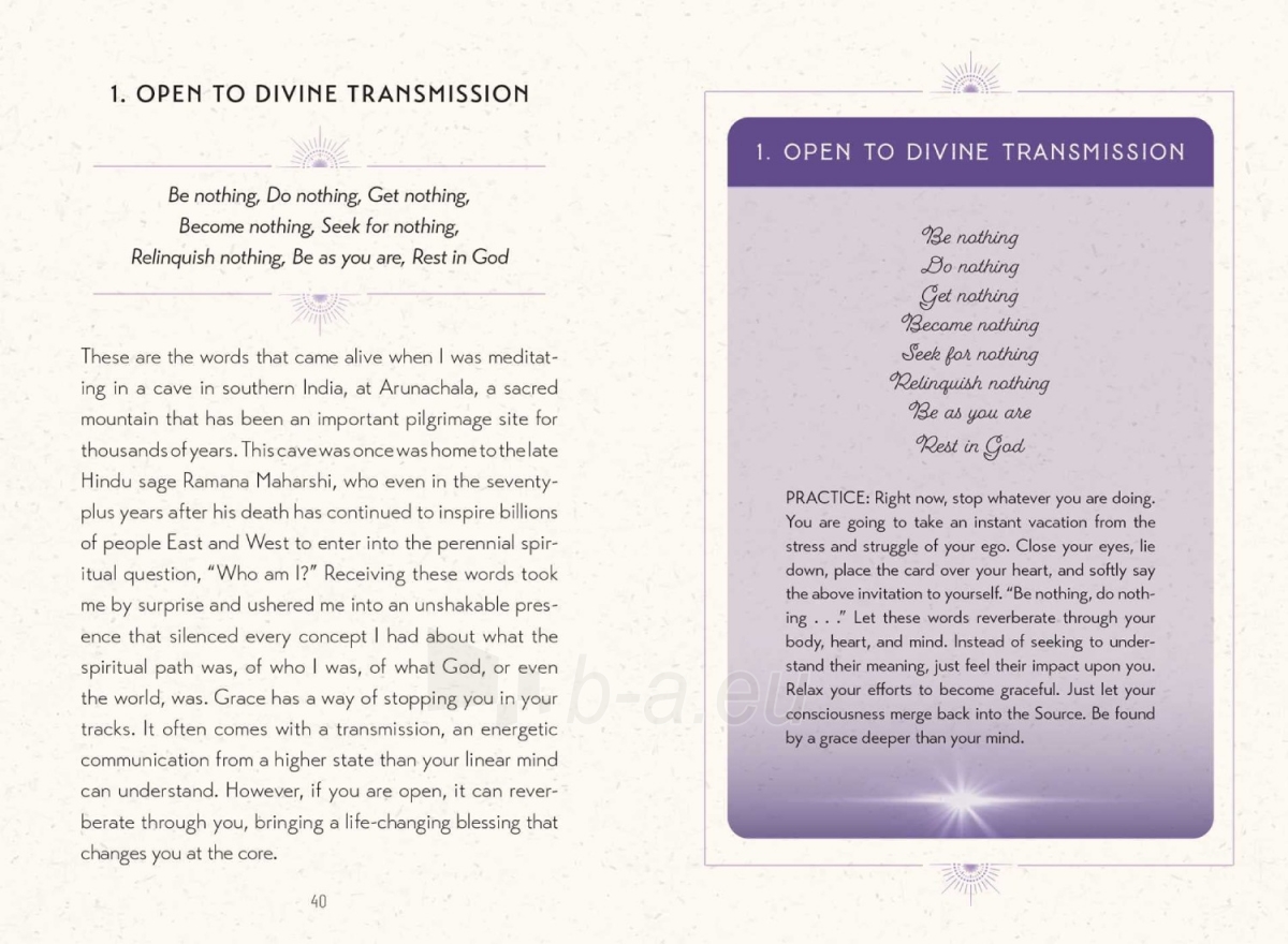 Taro kortos Cultivating Grace kortos Insight Editions paveikslėlis 13 iš 19