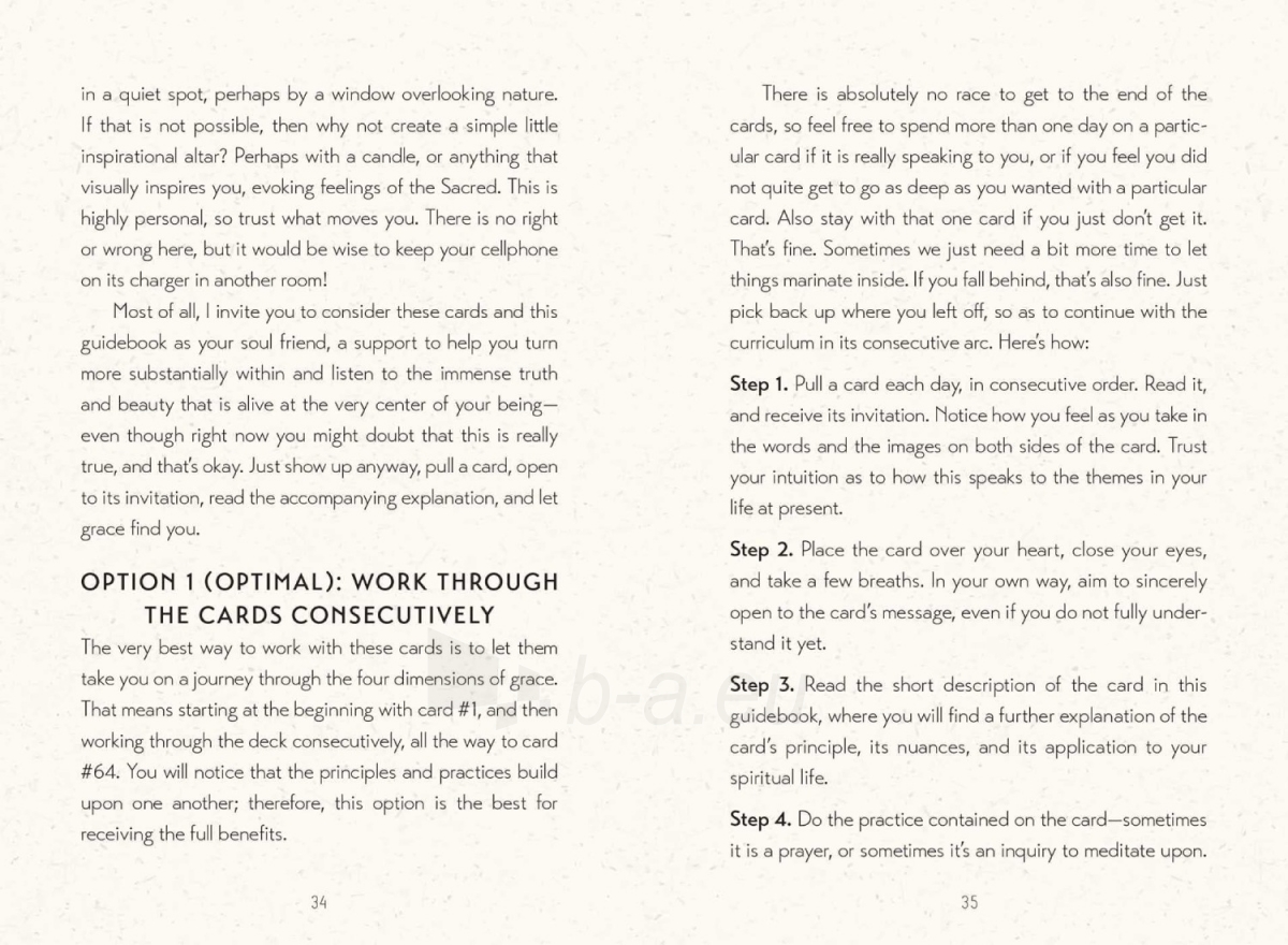 Taro kortos Cultivating Grace kortos Insight Editions paveikslėlis 11 iš 19
