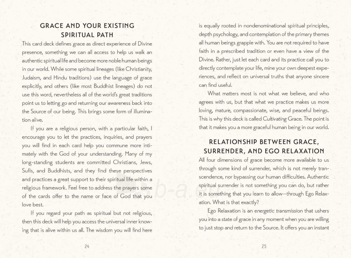 Taro kortos Cultivating Grace kortos Insight Editions paveikslėlis 10 iš 19