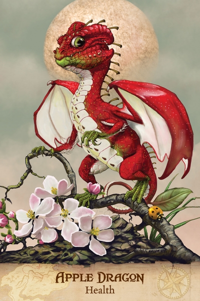 Taro kortos Field Guide To garden Dragons paveikslėlis 5 iš 11