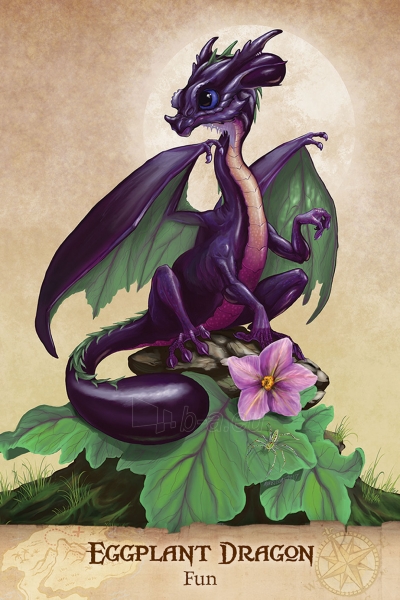 Taro kortos Field Guide To garden Dragons paveikslėlis 4 iš 11
