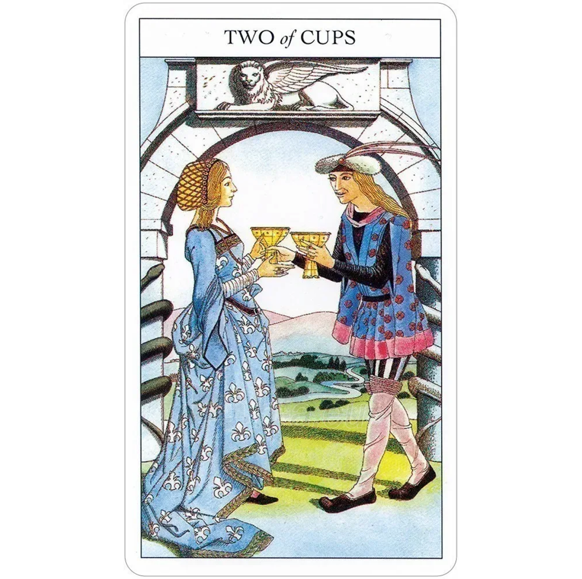 Taro kortos ir knyga Beginners Guide To Tarot paveikslėlis 4 iš 18