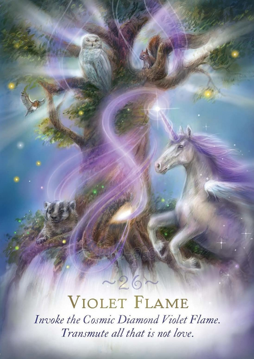 Taro kortos Magic of Unicorns Oracle kortos Hay House paveikslėlis 5 iš 8