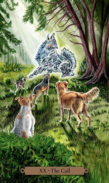 Taro Kortos Magical Dogs Tarot paveikslėlis 5 iš 10