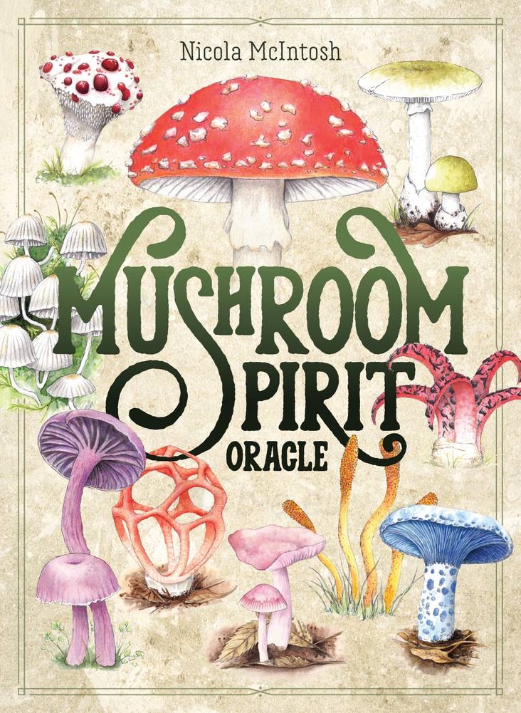 Taro kortos Mushroom Spirit Oracle kortos Rockpool Publishing paveikslėlis 2 iš 7