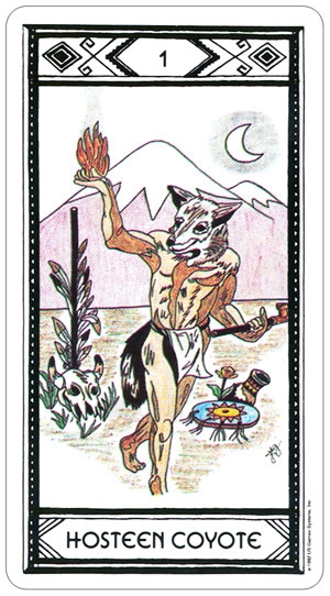 Taro kortos Native American paveikslėlis 2 iš 10