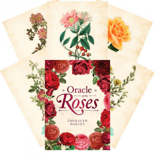 Taro kortos Oracle Of The Roses Rockpool paveikslėlis 8 iš 8