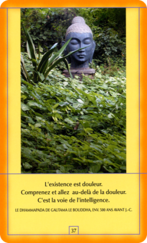 Taro kortos Osho Decouvrez Bouddha French Edition AGM paveikslėlis 4 iš 7