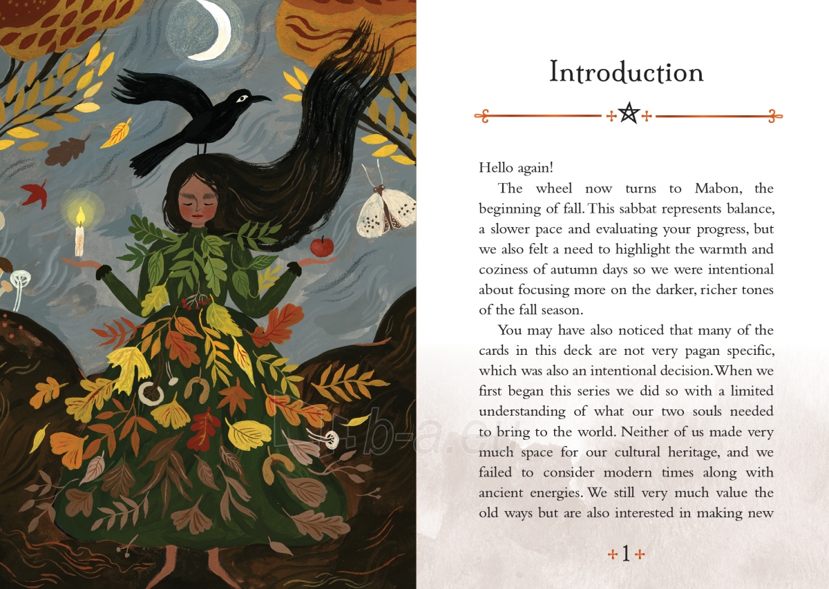 Taro kortos Seasons of the Witch Mabon Oracle kortos Rockpool Publishing paveikslėlis 4 iš 9