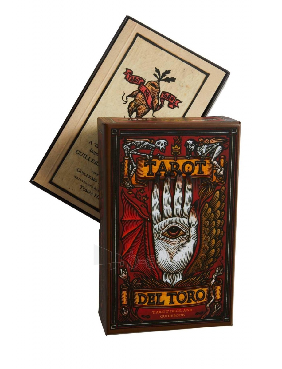 Taro kortos Tarot del Toro kortos ir vadovas Insight Editions paveikslėlis 12 iš 14