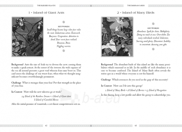 Taro kortos The Celtic Book of the Dead Oracle kortos Schiffer Publishing paveikslėlis 7 iš 10