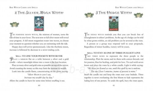 Taro kortos The modern wiccan box of spells cards burtų kortos Schiffer Publishing paveikslėlis 5 iš 12