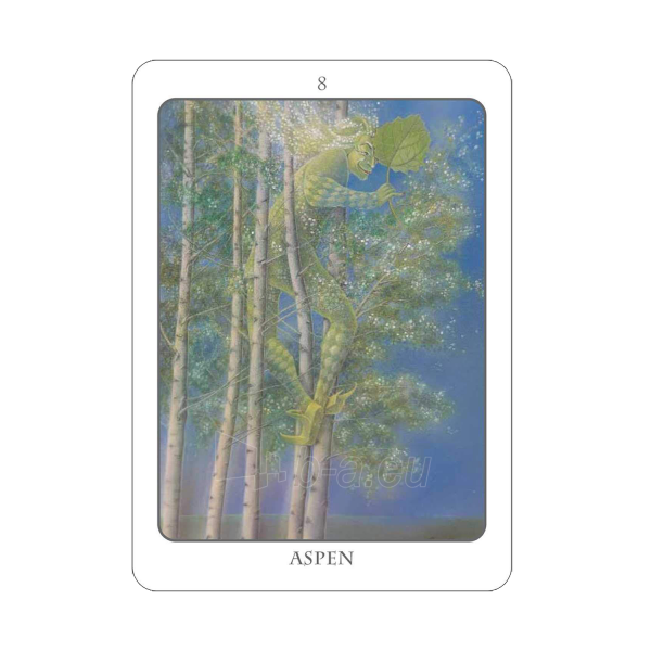 Taro kortos The Tree Angel Oracle kortų ir knygos rinkinys Earth Dancer paveikslėlis 10 iš 13
