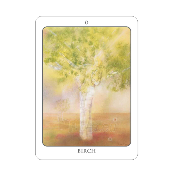 Taro kortos The Tree Angel Oracle kortų ir knygos rinkinys Earth Dancer paveikslėlis 5 iš 13