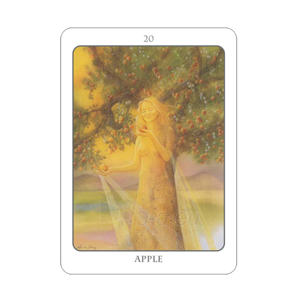 Taro kortos The Tree Angel Oracle kortų ir knygos rinkinys Earth Dancer paveikslėlis 2 iš 13