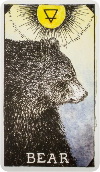Taro kortos The Wild Unknown Animal Spirit Oracle kortų ir knygos rinkinys Harper One paveikslėlis 10 iš 13