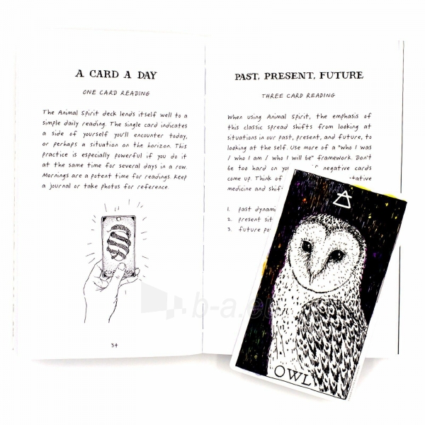 Taro kortos The Wild Unknown Animal Spirit Oracle kortų ir knygos rinkinys Harper One paveikslėlis 3 iš 13