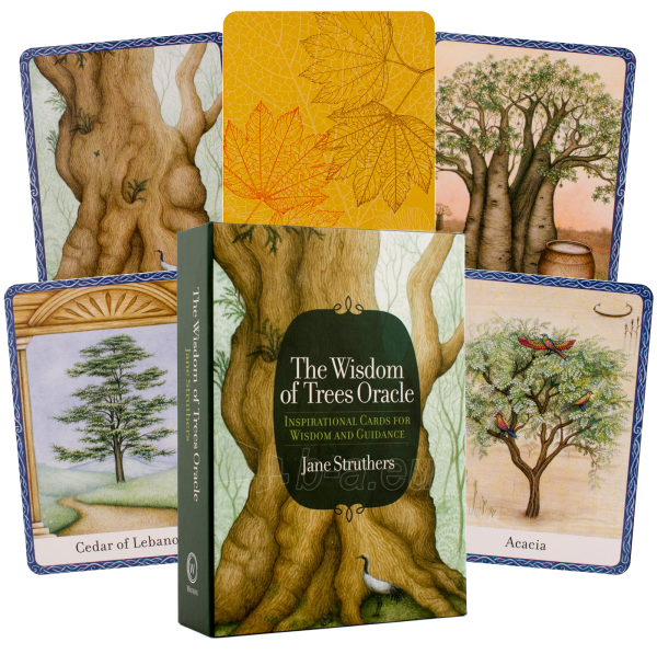 Taro kortos The Wisdom Of Trees Oracle Watkins Publishing paveikslėlis 1 iš 10