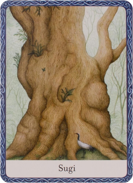 Taro kortos The Wisdom Of Trees Oracle Watkins Publishing paveikslėlis 6 iš 10
