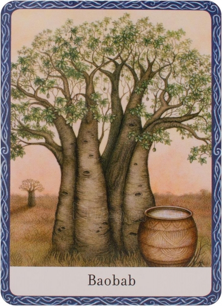 Taro kortos The Wisdom Of Trees Oracle Watkins Publishing paveikslėlis 3 iš 10