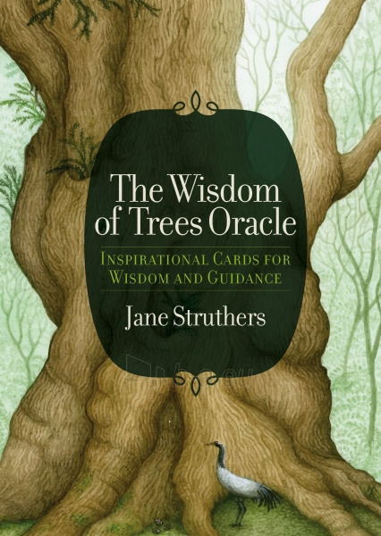 Taro kortos The Wisdom Of Trees Oracle Watkins Publishing paveikslėlis 10 iš 10