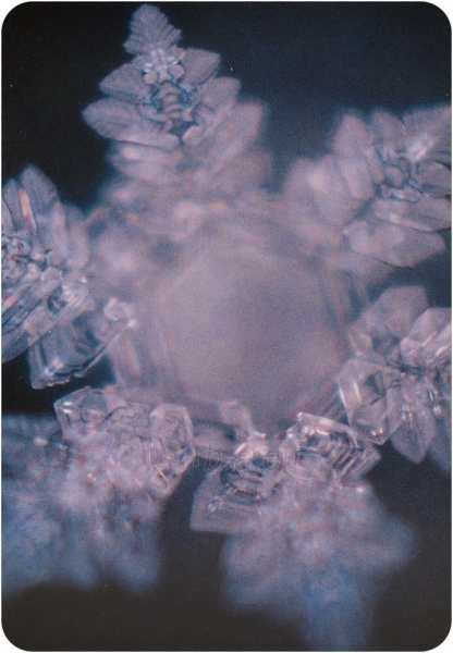 Taro kortos Water Crystal Oracle Beyond Words paveikslėlis 5 iš 9