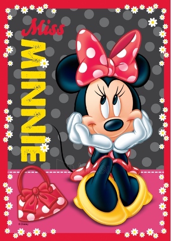 TREFL 34119 Puzzle Disney Mickey Mouse (35 + 70 + 48 + 54 elementų) paveikslėlis 1 iš 5