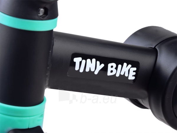 Triratukas Tiny Bike 3in1, mėlynas paveikslėlis 9 iš 15