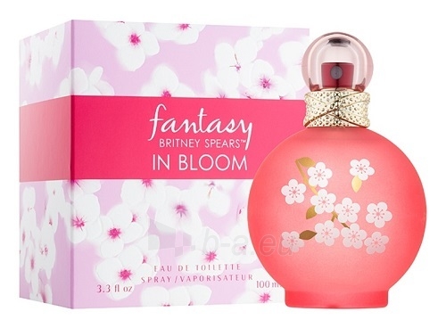 Perfumed water Britney Spears Fantasy in Bloom EDT 100ml paveikslėlis 1 iš 1