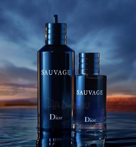 Tualetinis vanduo Christian Dior Sauvage EDT 60ml paveikslėlis 4 iš 5