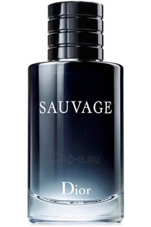 Tualetes ūdens Dior Sauvage EDT 100 ml paveikslėlis 1 iš 2