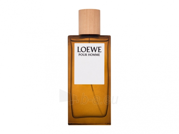Tualetes ūdens Loewe Pour Homme EDT 100ml paveikslėlis 1 iš 1