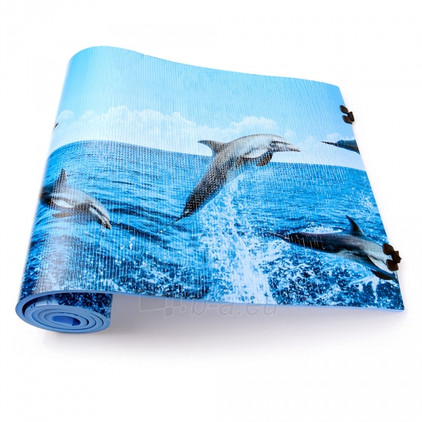 Turistinis kilimėlis Meteor Dolphin 1cm paveikslėlis 4 iš 5
