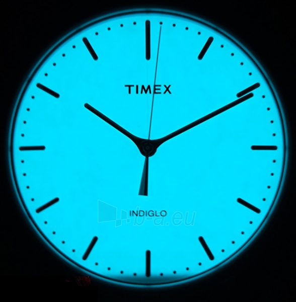 Unisex laikrodis Timex Weekender Fairfield TW2R26300 paveikslėlis 4 iš 5