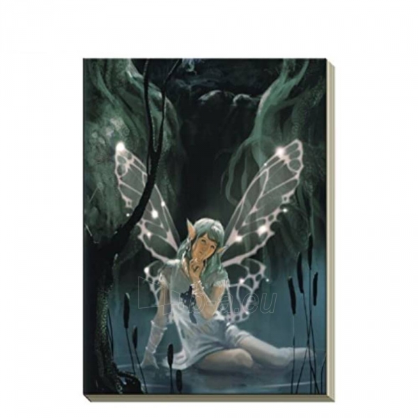 Užrašinė Celtic Fairy paveikslėlis 1 iš 2